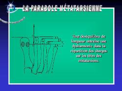 Photo : Parabole métatarsienne (1-2010)