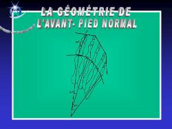 Photo : La géométrie de l'avant pied normal (1-2010)