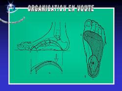 Radio Organisation en voute 2 (1-2010)