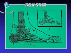 Radio Arche externe (1-2010)