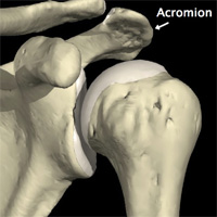 Schema chirurgie de la main