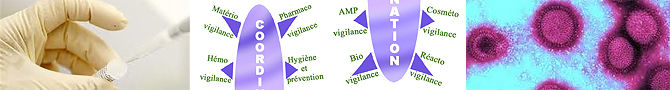 Bannière Vigilances sanitaires